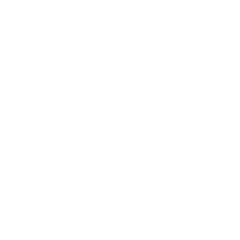 Perplexity AI