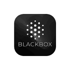 Blackbox AI