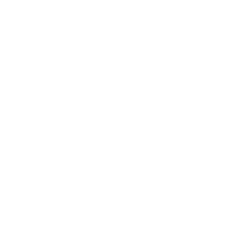 Leonardo AI