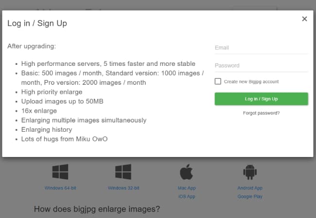 Bigjpg Product Details
