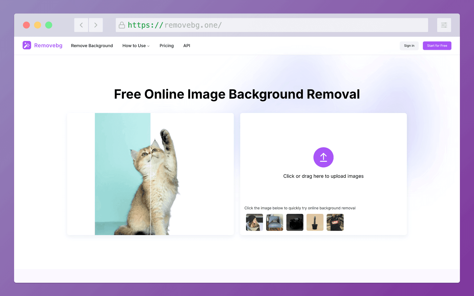 Removebg Product Details