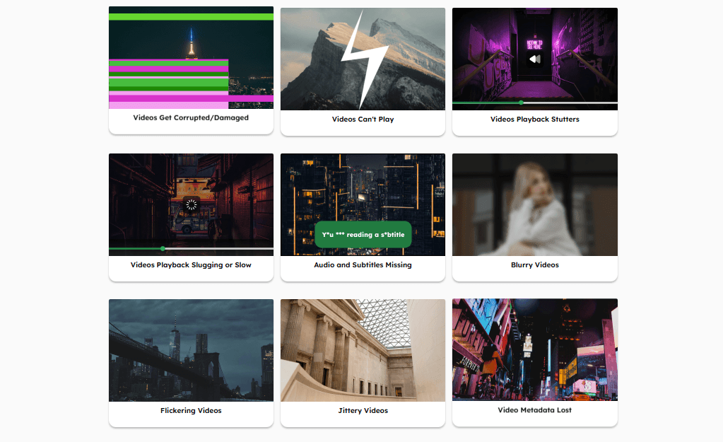 Easeus Online Video Repair Product Details
