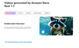 Amazon Nova Reel-2 Product Details