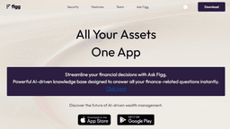 Figg Wealth-0 Product Details