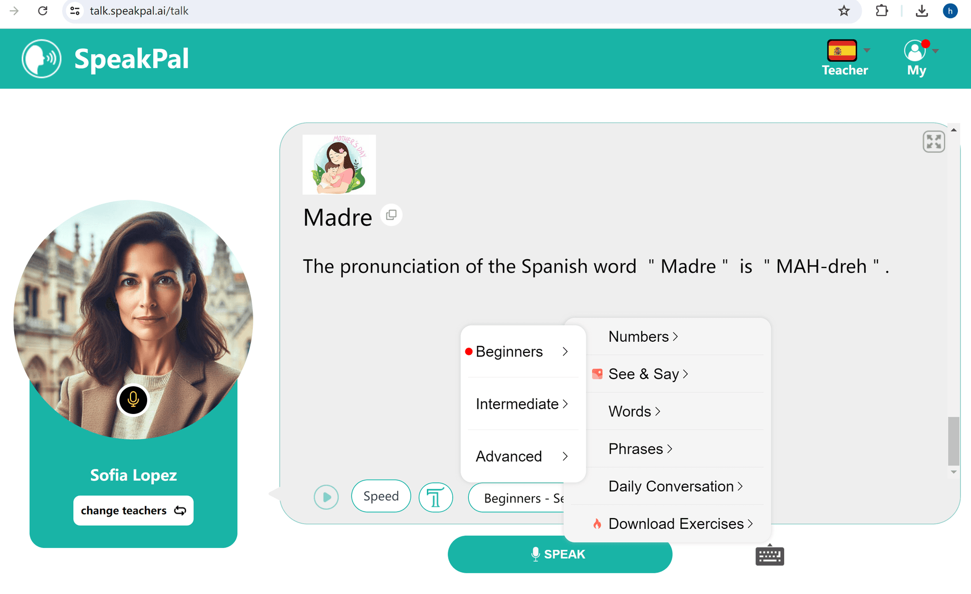 Speakpal Product Details