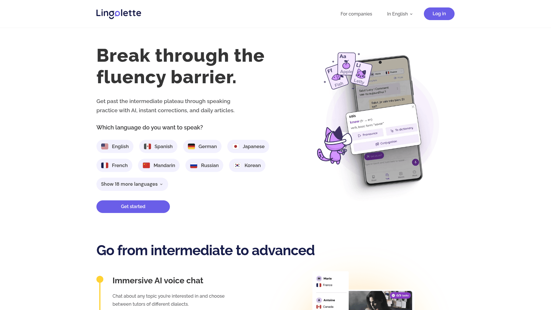 Lingolette Product Details