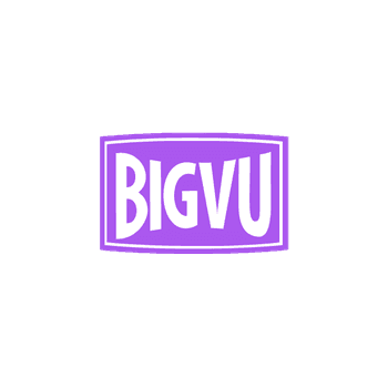 Bigvu