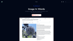 Image In Words-0 Product Details