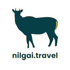 Nilgai
