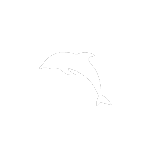 Dolphin AI