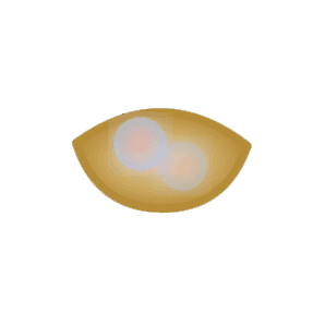 Soulnests