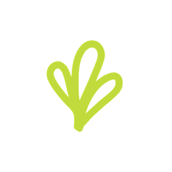 Tutory Logo