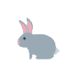 Rabbit Reader