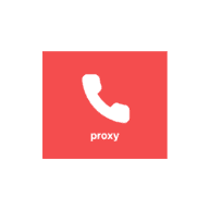 Proxy Caller AI