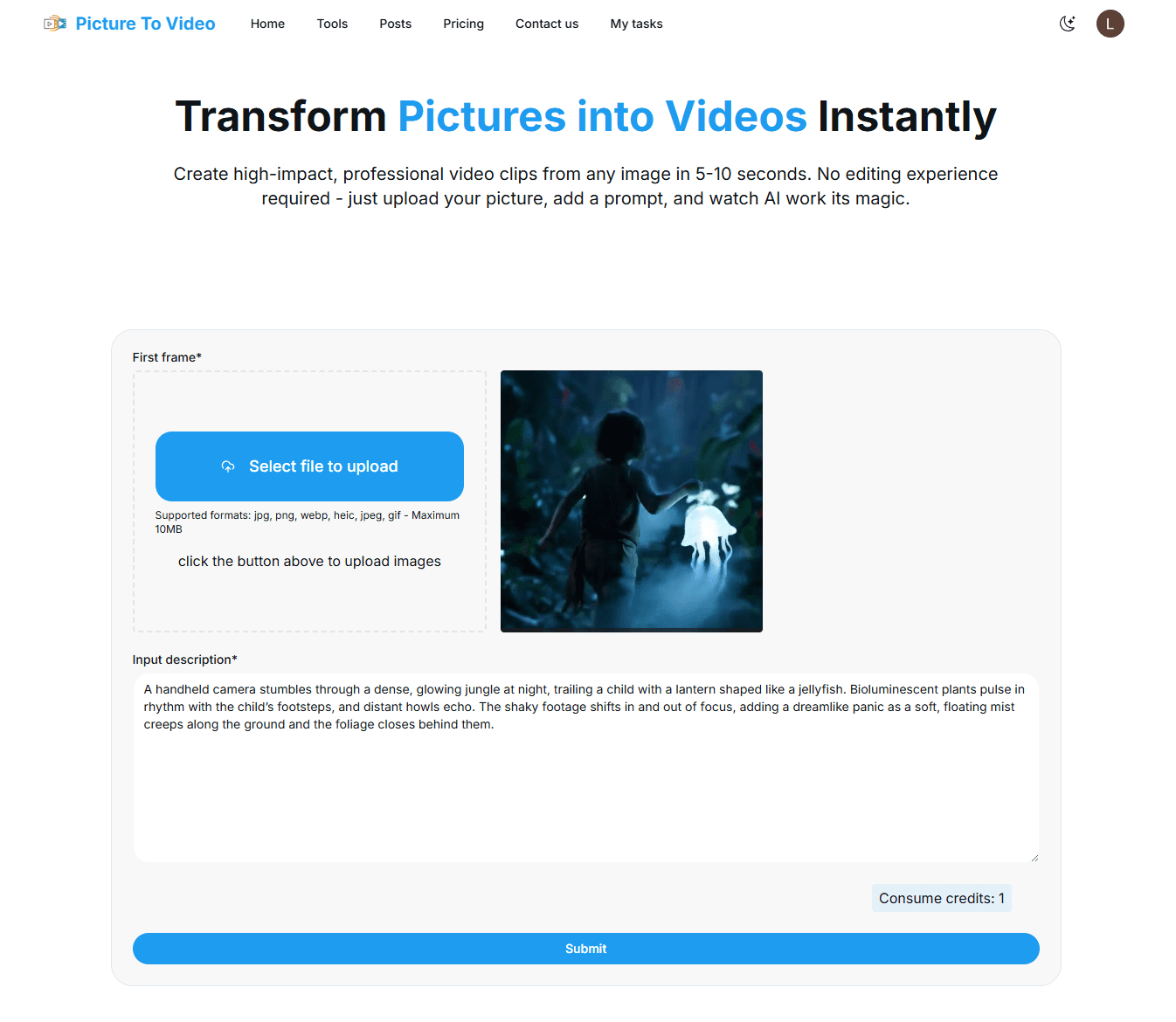 Picture To Video Product Details