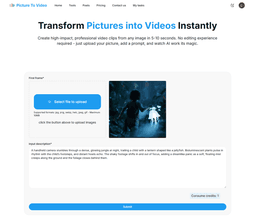 Picture To Video-0 Product Details