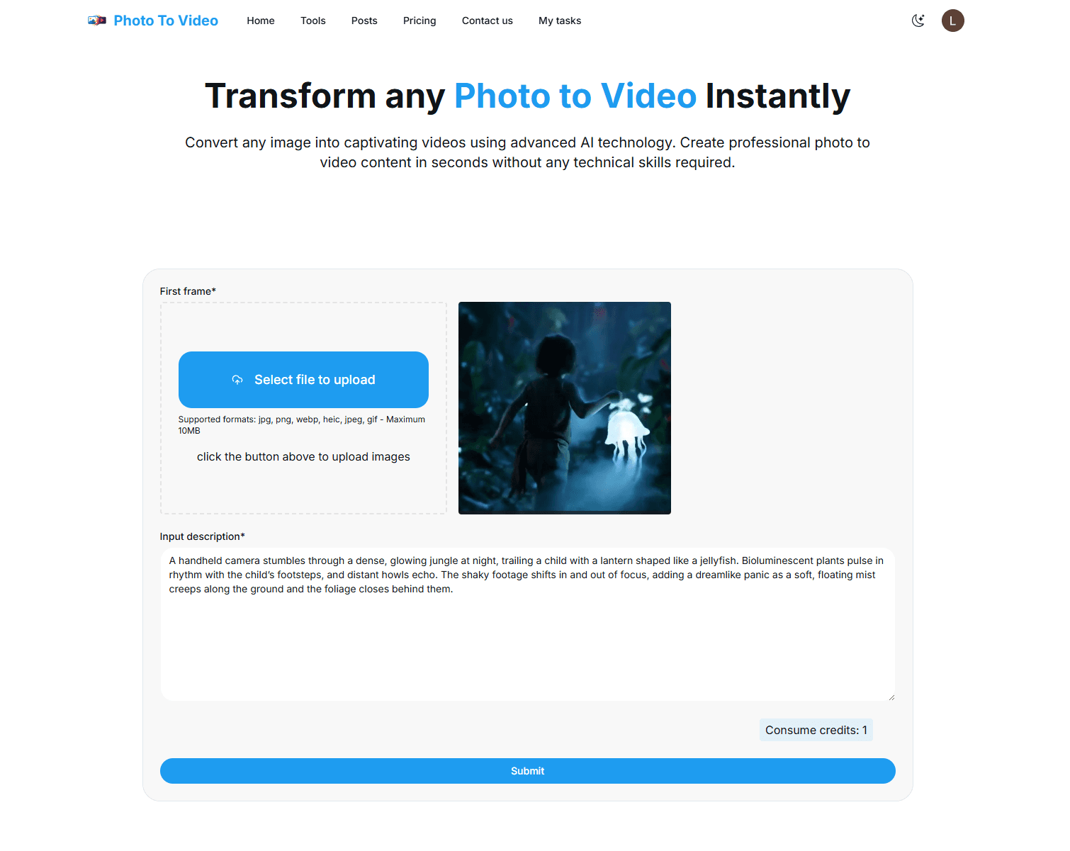 Photo To Video Product Details
