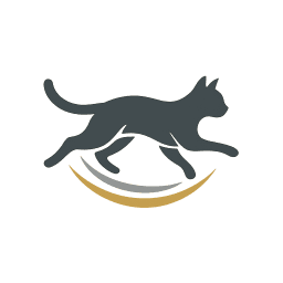 Cat Olympics