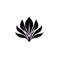Henna Designs logo
