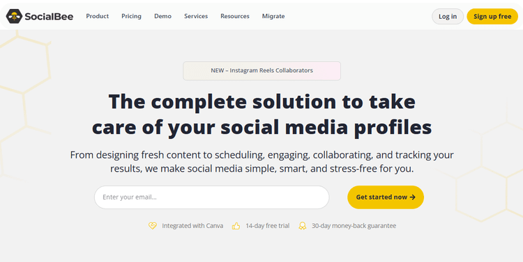 Socialbee - 1