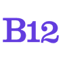 B12 AI logo