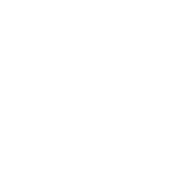 Bloomstories logo