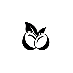 Coco AI logo