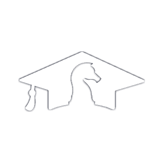 Innhold.ai logo