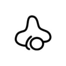 Scraps logo