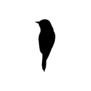 Sparrow Studio logo
