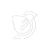 Sparrowgenie logo