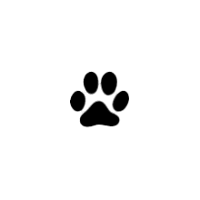 Suggest Cat logo