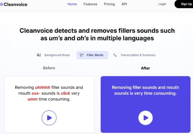 Cleanvoice - 3