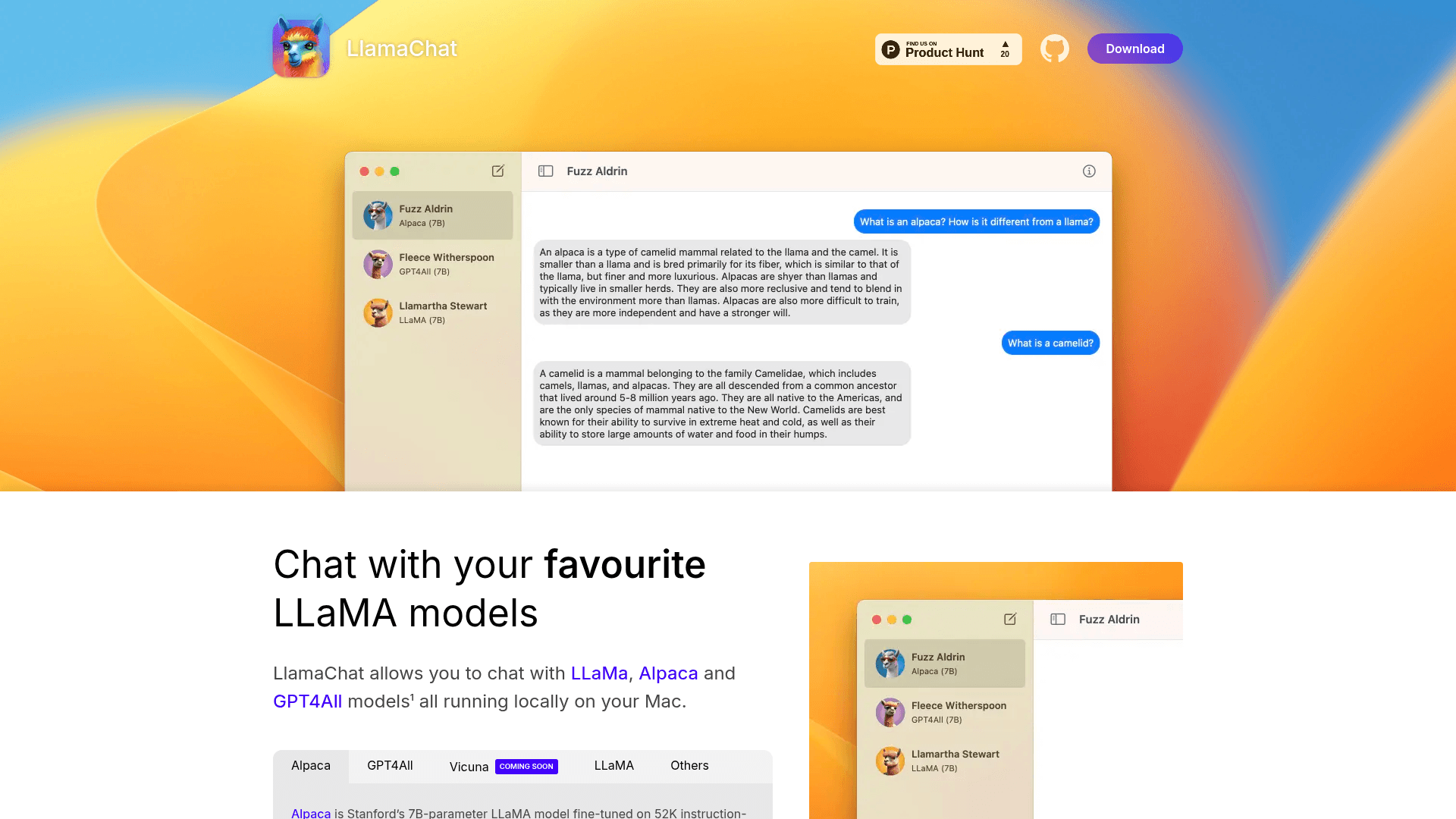 Llama Chat - 1