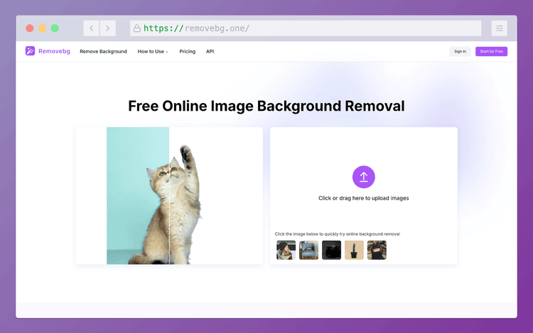 Removebg - 1