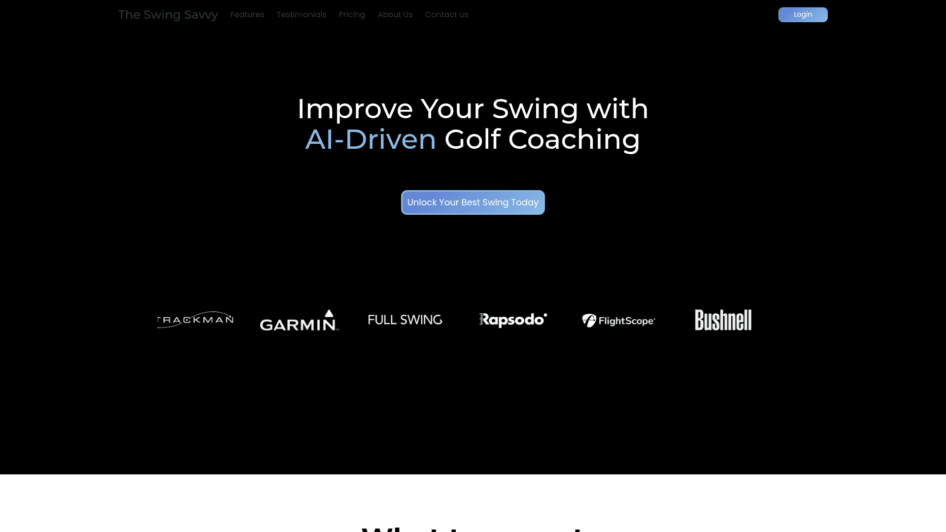 The Swing Savvy - 1