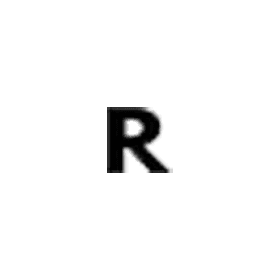 Roborder.ai logo