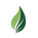 Askleaf logo