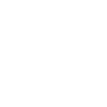 Mega SEO logo