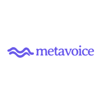Metavoice logo