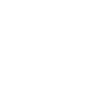 Plotpilot logo