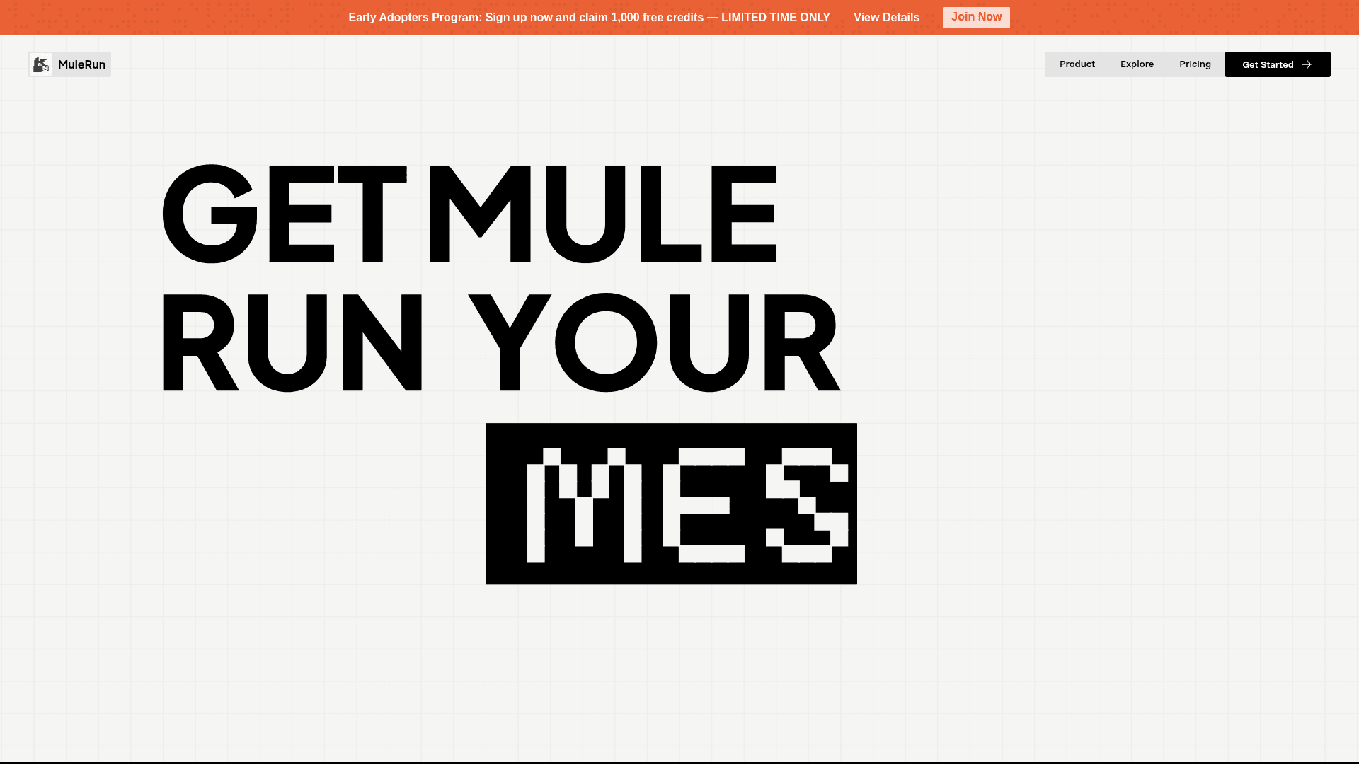 Mulerun - 1