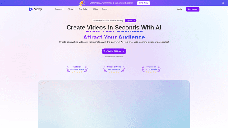 Vidfly - 1