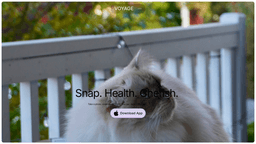 Voyage Pet AI - 1