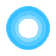 Perfect Memory AI logo