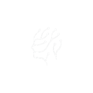 Elham.ai logo