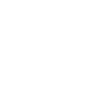 Elser AI logo