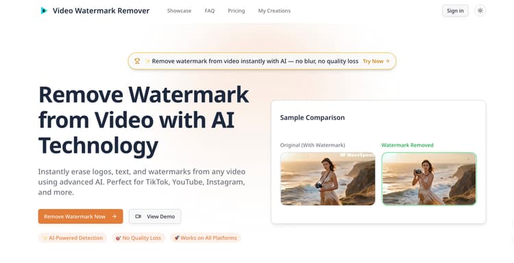 AI Video Watermark Remover - 1