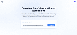 Sora Video Downloader - 1